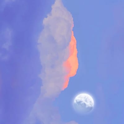 عامر خان avatar